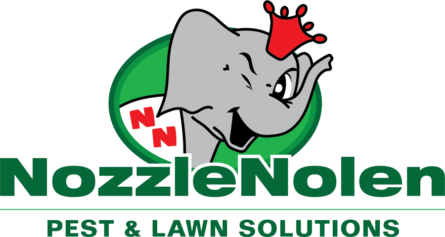 Nozzle Nolen